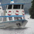 P8082353